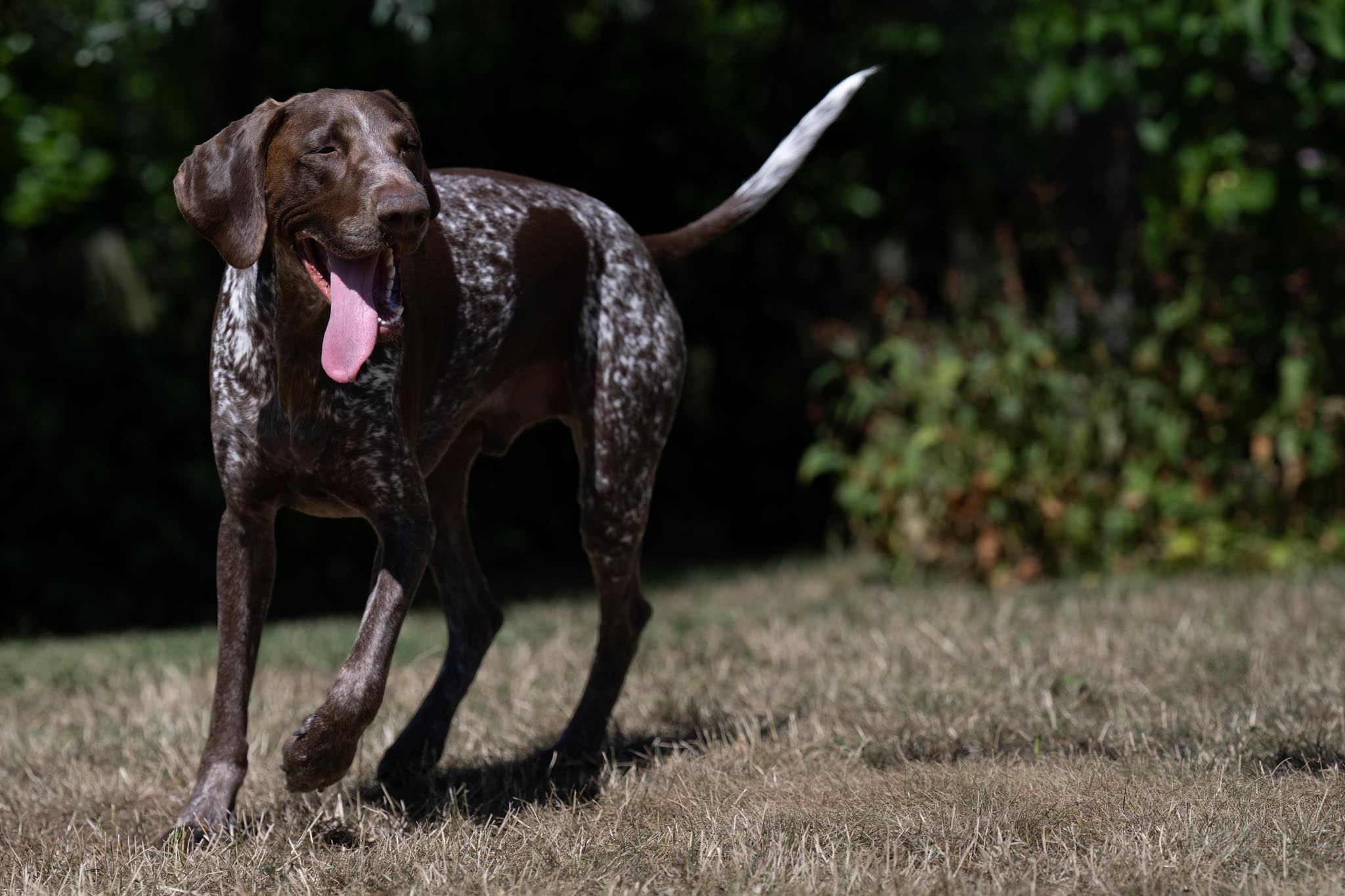Marjo met Maska